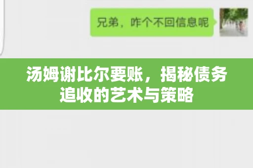 汤姆谢比尔要账，揭秘债务追收的艺术与策略