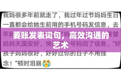 要账发表词句，高效沟通的艺术