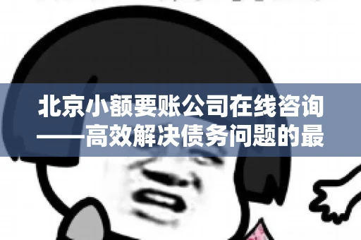 北京小额要账公司在线咨询——高效解决债务问题的最佳途径