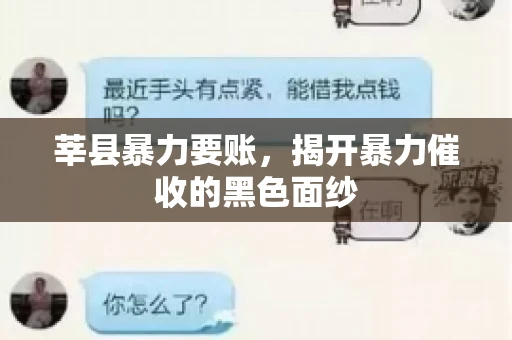 莘县暴力要账,揭开暴力催收的黑色面纱 莘县暴力要账,揭开暴力催收的黑色面纱