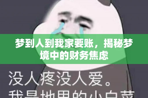 梦到人到我家要账，揭秘梦境中的财务焦虑