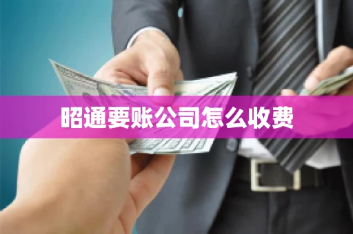 昭通要账公司怎么收费