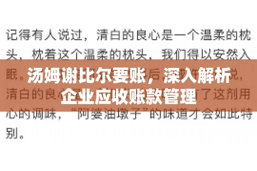 汤姆谢比尔要账，深入解析企业应收账款管理