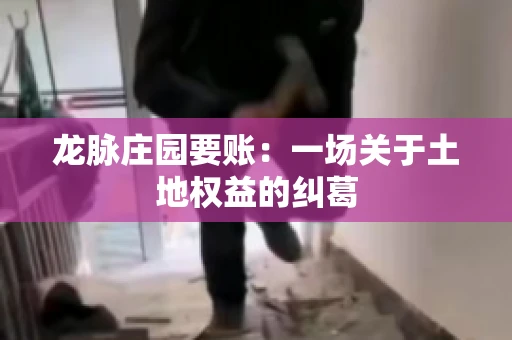 龙脉庄园要账:一场关于土地权益的纠葛 龙脉庄园要账:一场关于土地权益的纠葛