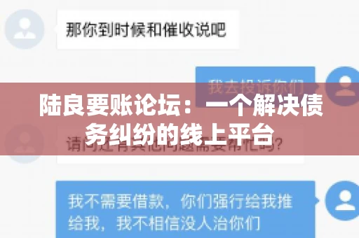 陆良要账论坛：一个解决债务纠纷的线上平台