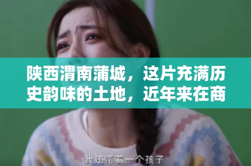 陕西渭南蒲城，这片充满历史韵味的土地，近年来在商业活动中也展现出了其独特的活力。其中，关于“陕西渭南蒲城要账”的话题，成为了不少企业关注的焦点。今天，我们就来聊聊这个话题，看看在蒲城，要账的那些事儿。