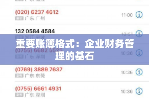 重要账簿格式：企业财务管理的基石