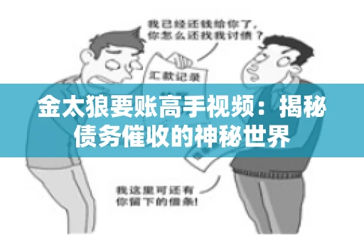 金太狼要账高手视频：揭秘债务催收的神秘世界