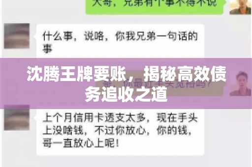 沈腾王牌要账,揭秘高效债务追收之道 沈腾王牌要账,揭秘高效债务追收之道