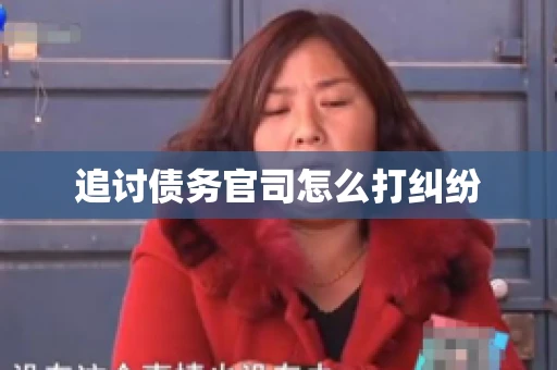追讨债务官司怎么打纠纷