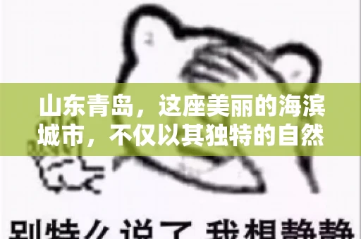 山东青岛，这座美丽的海滨城市，不仅以其独特的自然风光和丰富的历史文化著称，更是一个商业活动频繁、经济活力十足的地方。在这样一个充满机遇与挑战的城市，有一群人，他们专注于解决商业纠纷，帮助客户收回欠款，他们就是——山东青岛要账公司。