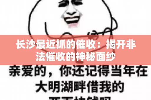 长沙最近抓的催收：揭开非法催收的神秘面纱