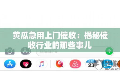 黄瓜急用上门催收：揭秘催收行业的那些事儿