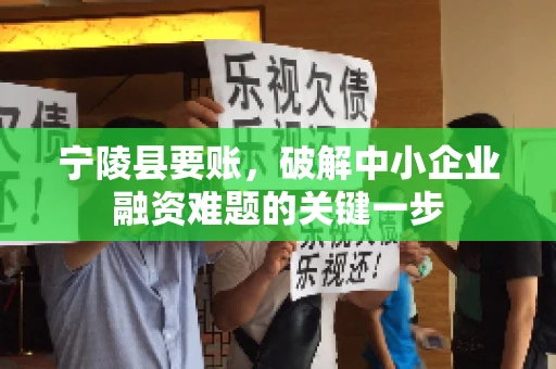 宁陵县要账，破解中小企业融资难题的关键一步