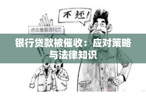 银行贷款被催收：应对策略与法律知识
