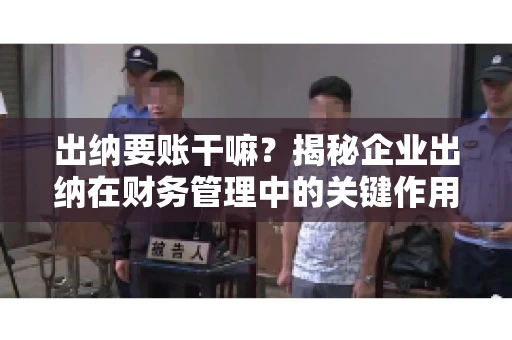 出纳要账干嘛？揭秘企业出纳在财务管理中的关键作用
