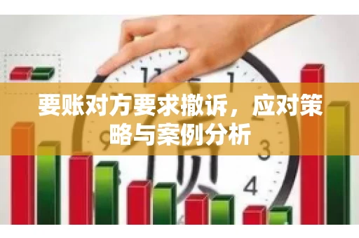 要账对方要求撤诉，应对策略与案例分析