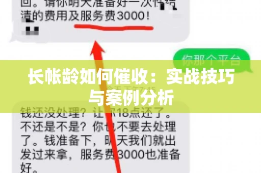 长帐龄如何催收：实战技巧与案例分析